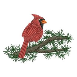 Cardinal 06