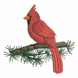 Cardinal 08 machine embroidery designs