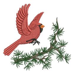 Cardinal 09