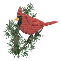 Cardinal 10 machine embroidery designs
