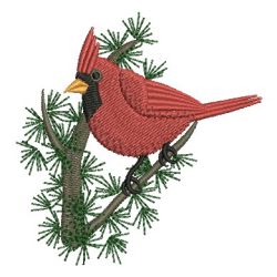 Cardinal 10