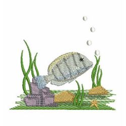 Colorful Tropical Fish 2 08