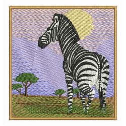 Africa Zebra 08