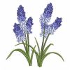 Delightful Flowers 01