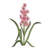 Delightful Flowers 03