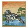Africa Zebra 03