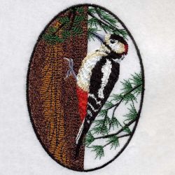 Woodpecker 01(Sm) machine embroidery designs