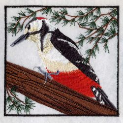 Woodpecker 03(Sm)