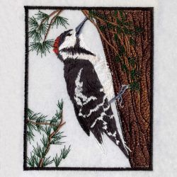 Woodpecker 04(Lg) machine embroidery designs