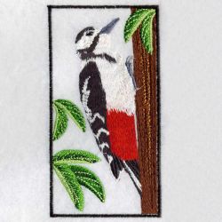 Woodpecker 06(Lg) machine embroidery designs