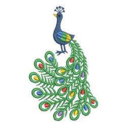 Stunning Peacocks 05