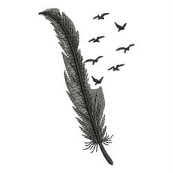 Feathers 10