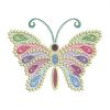 Fancy Colorful Butterfly 07