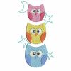 Cute Baby Owls