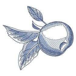Sketched Fruits 1 04
