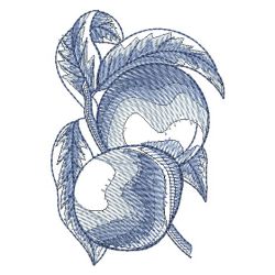 Sketched Fruits 1 06