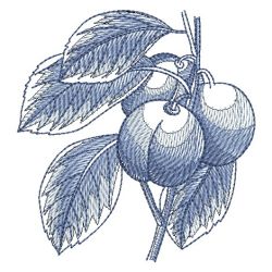 Sketched Fruits 1 07 machine embroidery designs