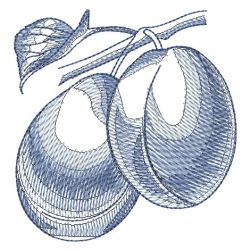 Sketched Fruits 1 08