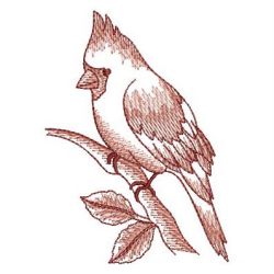 Sketched Cardinal 02 machine embroidery designs
