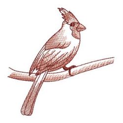 Sketched Cardinal 03 machine embroidery designs