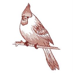 Sketched Cardinal 04 machine embroidery designs