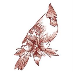 Sketched Cardinal 09