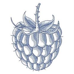 Sketched Fruits 2 04 machine embroidery designs
