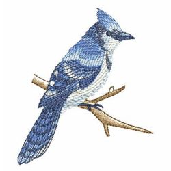 Watercolor Blue Jay 02 machine embroidery designs