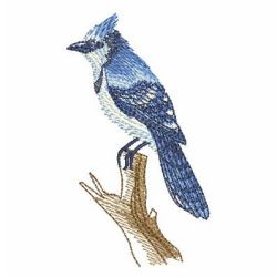 Watercolor Blue Jay 03 machine embroidery designs