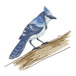 Watercolor Blue Jay 04 machine embroidery designs