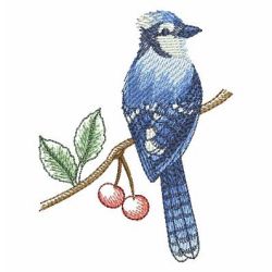 Watercolor Blue Jay 05 machine embroidery designs