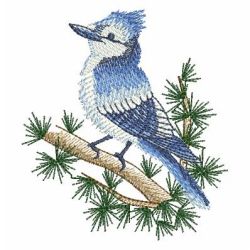 Watercolor Blue Jay 06 machine embroidery designs
