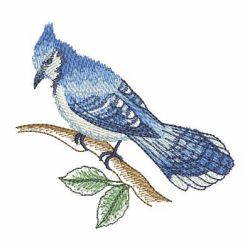 Watercolor Blue Jay 07 machine embroidery designs