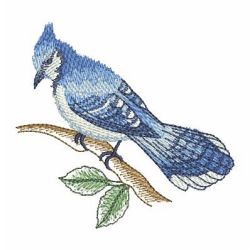 Watercolor Blue Jay 07