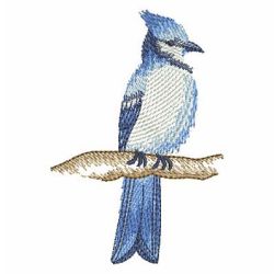 Watercolor Blue Jay 09 machine embroidery designs