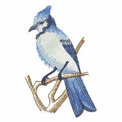 Watercolor Blue Jay 10 machine embroidery designs