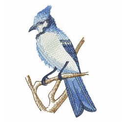 Watercolor Blue Jay 10