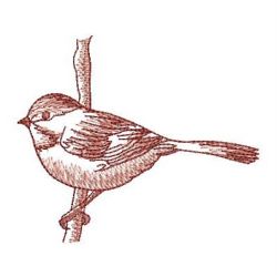 Sketched Chickadees 2 04 machine embroidery designs