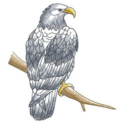 Sketched Eagle 02(Sm) machine embroidery designs