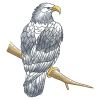 Sketched Eagle 02(Lg)