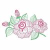 Valentine Rose